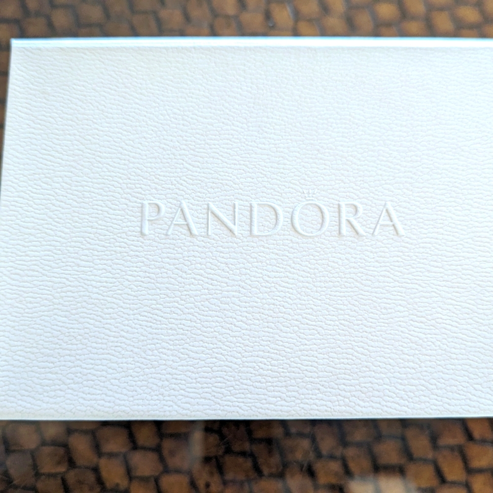 PANDORA Silver Care Kit